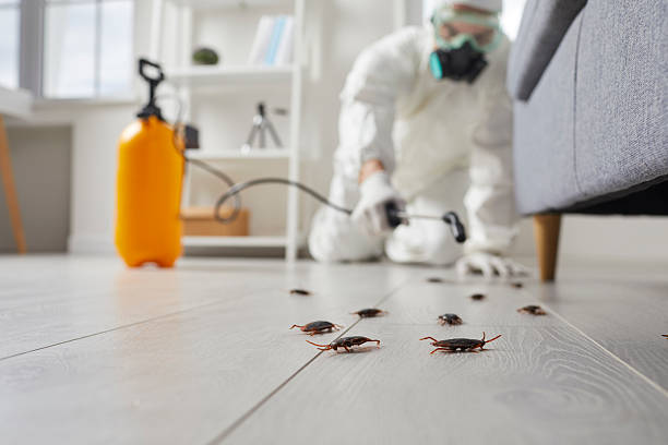 Commercial Kitchen Cockroach Control in Gallatin